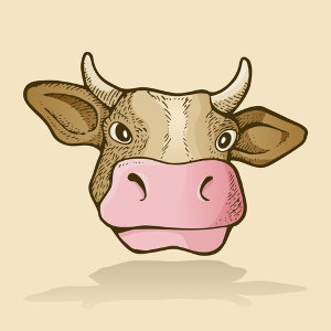 Cow's Head