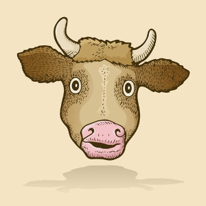 Surprised Cow